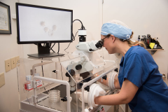 试管能包生'男'孩吗？专家解读成功概率与费用详解！