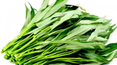 <b>胚胎移植后，吃空心菜叶是否真的安全可行？全面解析胚胎移植后的饮</b>