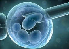 卵泡质量不好怎么促排？方案有两种可以选择