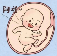 停经状态下能否进行供卵试管？全面解析停经女性进行试管的可行性