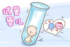 试管完整流程曝光！一步步看清治疗过程，避免常见误区！