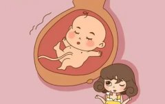 中信湘雅供卵试管条件全解析！