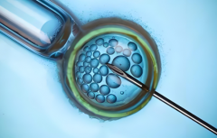 镇江市哪家医院擅长做试管？可以指定生一个男孩吗？