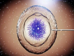 卵子碎片率高怎么促排？两个方案可以供你选择！