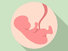 连云港妇幼保健院试管领域哪位专家医生更受欢迎且技术高超？