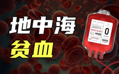 深入了解重度地中海贫血：这一疾病会引发哪些明显的症状与体征？