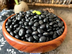 多囊卵巢综合征备孕能吃黑豆吗？可以但是不要长期大量吃