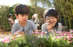 2024年泰国试管助孕成功诞下龙凤胎大约得花多少钱？