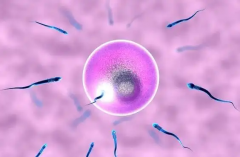 绝经了还能做试管吗？高龄女性可以用冻卵来做