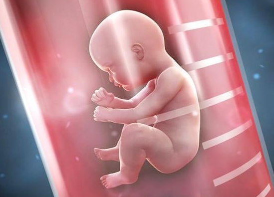 哪里可以做试管男孩