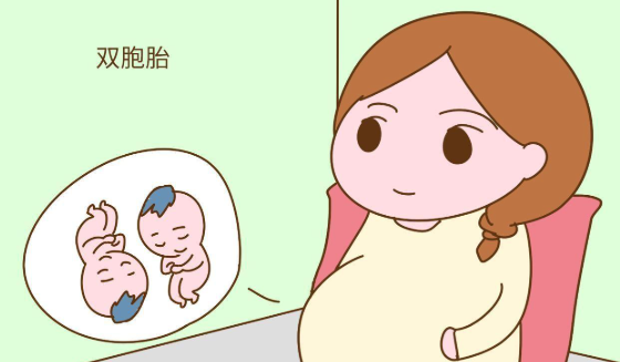试管做双胞胎费用