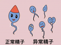 精子畸形率较高的情况下，是否可以选择试管技术来实现生育梦想呢？