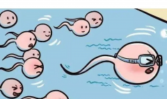 试管技术对精子有哪些具体要求？全面解析与了解