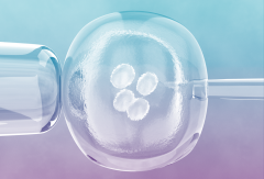 试管哪里包成功？这些医院的服务和成功率你绝对不能错过！