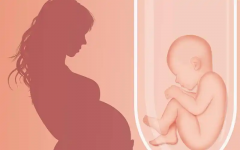 沈阳盛京医院三代试管技术，哪位医生更值得信赖与推荐？