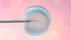 试管助孕包成功？成功率冲刺99%，到底是神话还是现实？深度解析！