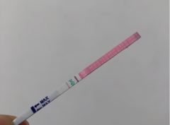 试管移植鲜胚后出现白板怎么办？是不是移植失败？