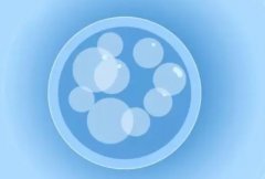 试管移植后乳晕变大，是着床成功的信号吗？