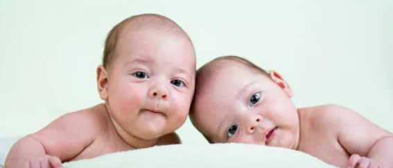 试管双胞胎多少钱一次