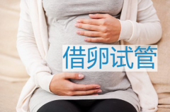 2024年借卵做试管的医院TOP推荐：最受欢迎的医院与成功率全解析！