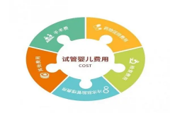 做试管全部费用多少钱？附2024年详细费用清单与各项支出全面解读！