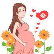 怀孕期间，孕妇能否安心享用美味的人参果呢？全面解析孕妇食用人参