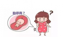 试管移植怎么预防胎停？一旦胎停应该怎么处理？