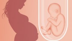 孕妇如何科学安排喝牛奶时间？一文读懂！