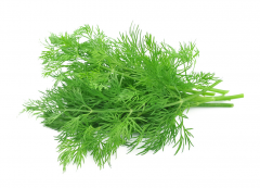 试管移植后吃东西要注意，小茴香胡椒等香料慎吃！