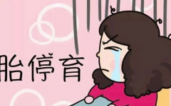 一分钟科普：哪些方法可以检查试管胎停育？