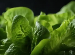 做了试管移植不建议吃这些食物，这几种菜建议多吃！