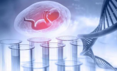 2024杭州试管TOP5医院成功率排名：高成功率医院推荐，助力生育计划！