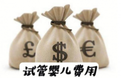 2025四川三代试管费用一览：收藏此文搞定预算