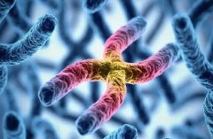 南昌一附院试管成功率大揭秘，助你轻松好孕！