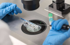 HIV阳性者能赴泰做试管吗？2025年最新政策、费用与成功率揭秘！