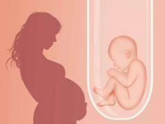 为什么很多女性排斥试管？（做试管女人是不是特别受罪）