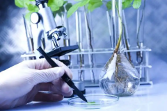 囊胚移植手术前，子宫内膜血流达到几级才是最佳状态？全面了解内膜