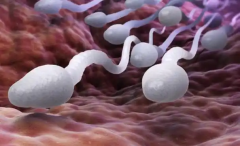 精子活力弱能做试管吗？成功率有多少？