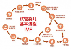 吉林省进行供卵试管手术的成功率究竟有多高？全面解析影响因素与成功率概况