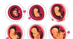 在上海曙光医院进行二代试管治疗，大概需要准备多少费用？详细费用