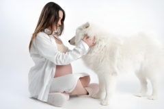 2025上海单身试管医院TOP五推荐？如何根据个人情况选择？