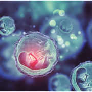 北京301医院人工授精费用全知道：细致解析治疗成本，为您的生育计划