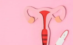 子宫腺肌症患者移植冻胚，成功率到底怎么样？详细解读子宫腺肌症对