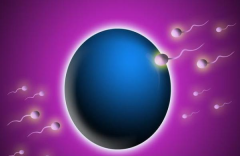 患有盆腔炎能否进行试管：详细解析与注意事项，帮助您做出明智选择