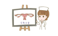 解析弓形子宫和试管之间关系，做试管能成功吗？