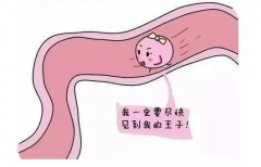 五类人群需要做促排卵治疗，试管只是其中一种！