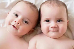 上海做龙凤胎试管费用是多少？详细花费解析！