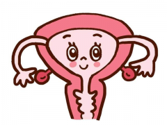 子宫出现萎缩情况，是否还能借助试管技术实现怀孕梦想？全面解析与