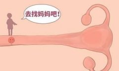 试管之路：如何科学调理子宫环境提升成功率？