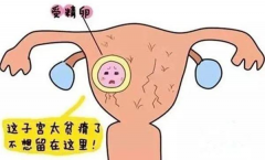 多次生化妊娠能不能做试管？能怀孕吗？